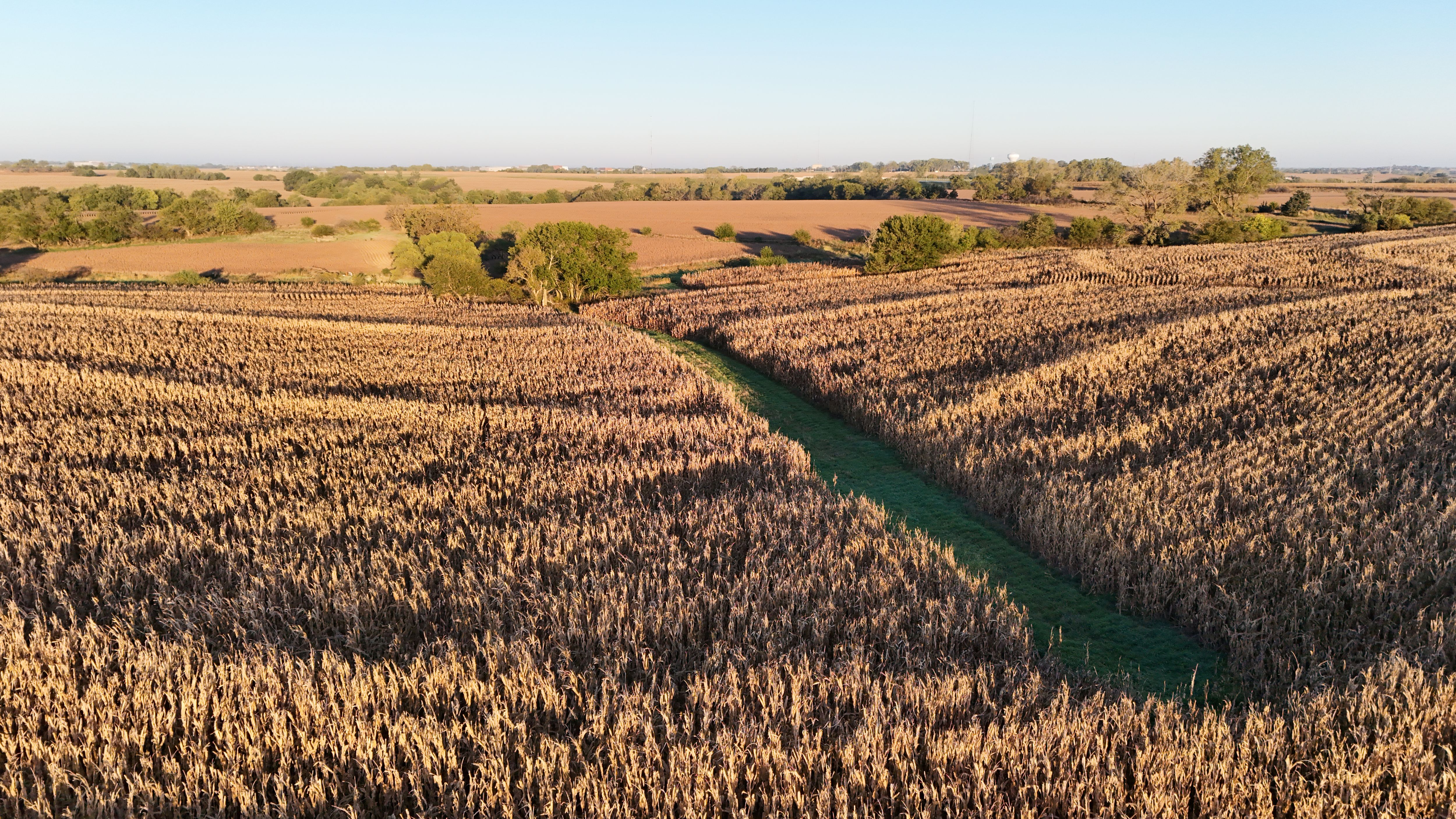 Listing Photo: lancaster-county-ne-125-acres (20)